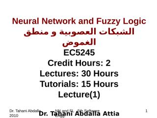 Neural Network and Fuzzy Logic(lec1).ppt