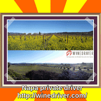 Driver Sonoma Wine Country (1).gif